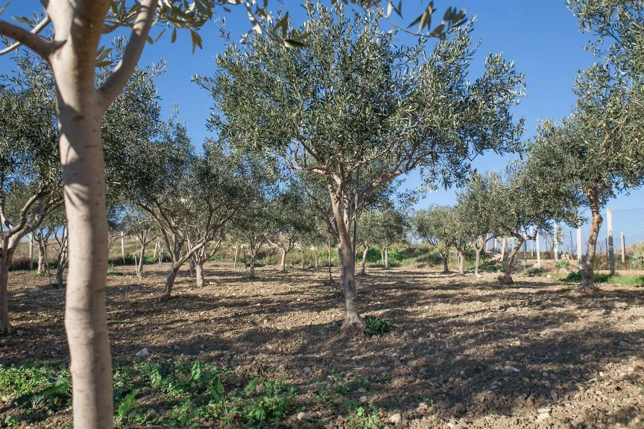 B&B La Veranda Licata Bed & Breakfast
